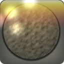 페티노사우루스 가죽