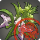 제4차 부흥용 중급 참깨[검사필]