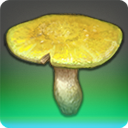 제2차 부흥용 환상흙 버섯