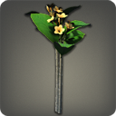 플루메리아: 주황