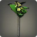 플루메리아: 노랑