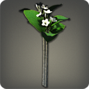 플루메리아: 하양