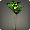 플루메리아: 초록