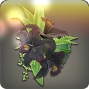 카틀레야 머리장식: 검정