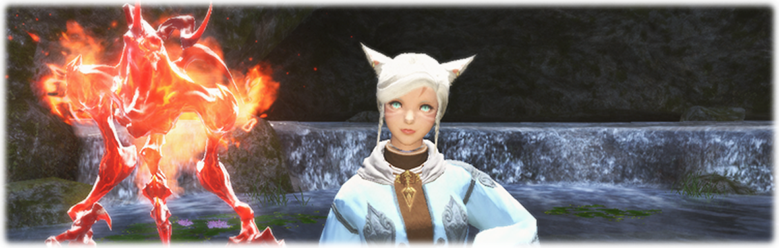 소환사의 검은 그림자