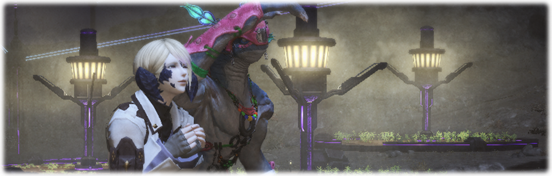 부네와족의 술식