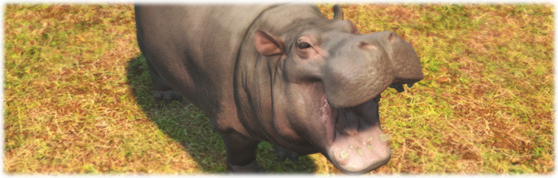 폭주 하마, 섬을 달리다