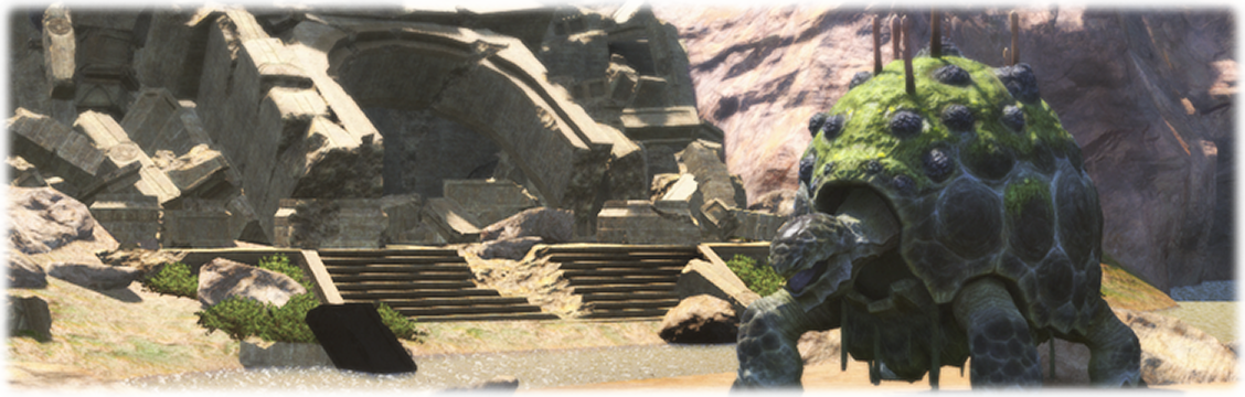 길거북을 사로잡아라!