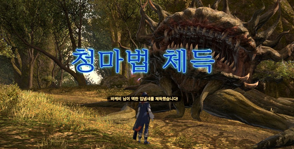 청마법 체득