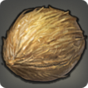 소장용 코코넛