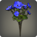 비레고 제비꽃: 파랑
