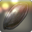 반딧불이 겉날개