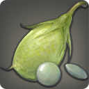 에블라나 렌틸 콩