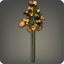 부겐빌레아: 주황