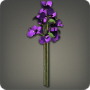 부겐빌레아: 보라