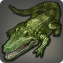 사베네어 돌악어