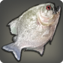 다이아몬드 피피라