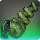 레포케라스 엘레강스