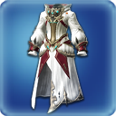 보강된 스카이와 치유사 외투