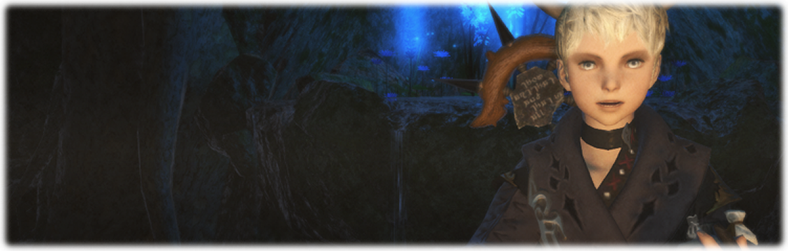 마음은 숲을 헤매고