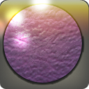 암피프테레 가죽