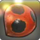 무당벌레 겉날개