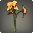 카틀레야: 주황