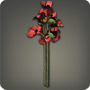 부겐빌레아: 빨강