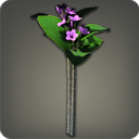 플루메리아: 보라