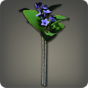 플루메리아: 파랑