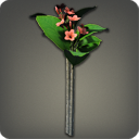 플루메리아: 빨강