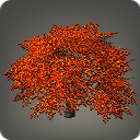 가을의 단풍나무