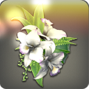 카틀레야 머리장식: 하양