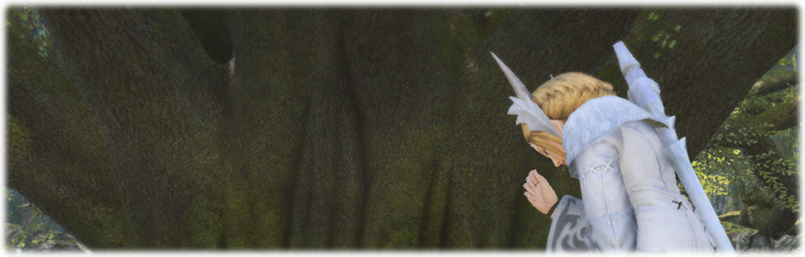 죽음의 사슬에 묶인 숲