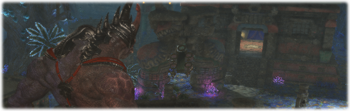 밀림의 민족, 마무쟈족