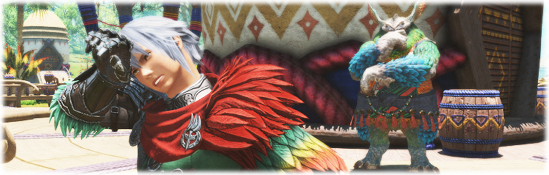 나한셰의 답을 지켜보자