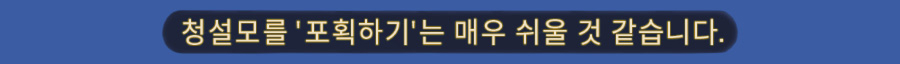 청설모를 '포획하기'는 매우 쉬울 것 같습니다