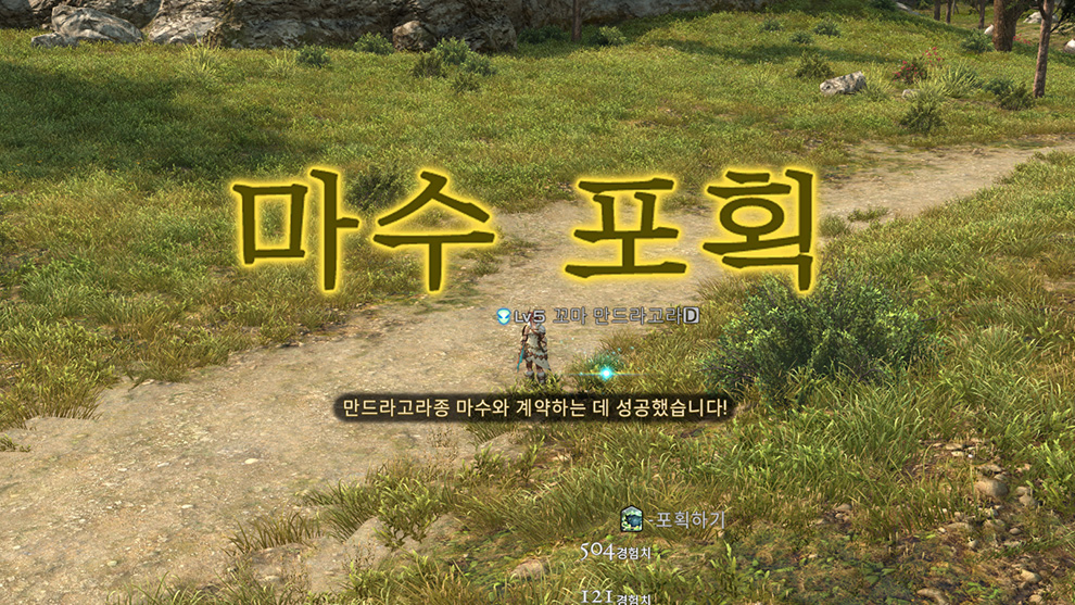 만드라고라종 마수와 계약하는 데 성공했습니다